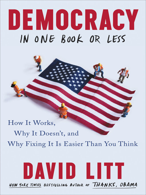 Title details for Democracy in One Book or Less by David Litt - Wait list